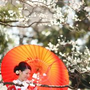 桜の下での画像17