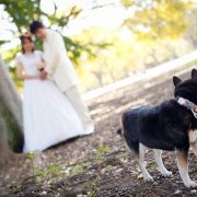 愛犬と一緒に撮影の画像12