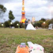 東京タワーをメインに日中と夜景の両方を撮影して頂きました。の画像4