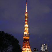 東京タワーをメインに日中と夜景の両方を撮影して頂きました。の画像7