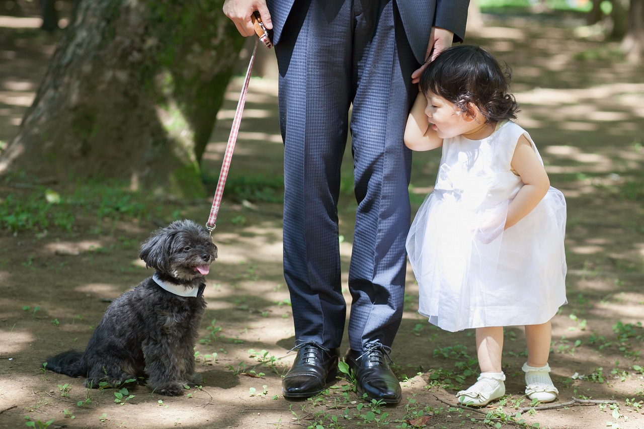 写婚,ロケフォト,子供と前撮り,ペットと前撮り.子供とフォトウエディング.なし婚,ウエディングドレス,フォトウエディング