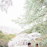 国立博物館で桜フォトウエディングの画像1