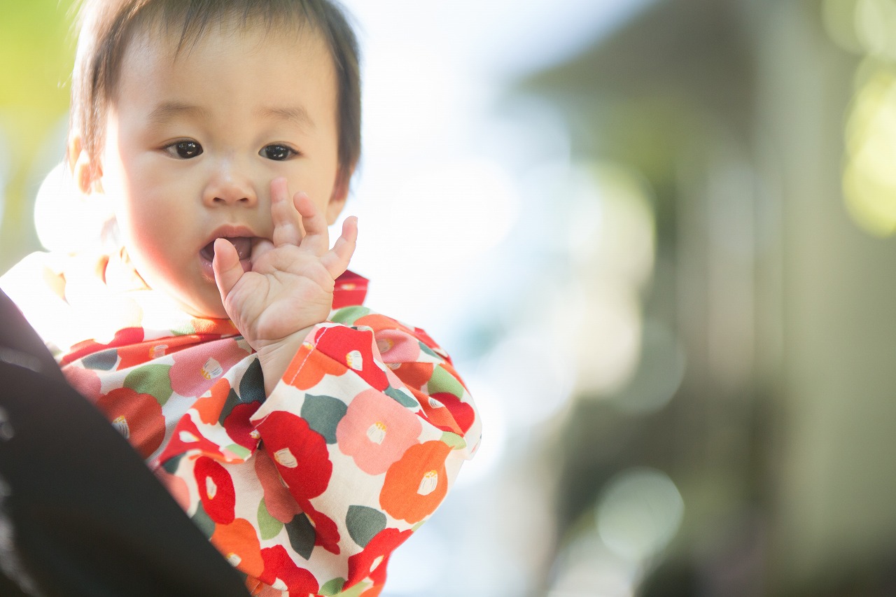 写婚,スタジオ撮影,子供と前撮り,ペットと前撮り.子供とフォトウエディング.なし婚,和装,色打掛,白無垢