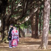 春の前撮り　和装ロケーション撮影（椿、河津桜、菜の花）の画像24