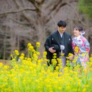 春の前撮り　和装ロケーション撮影（椿、河津桜、菜の花）の画像13