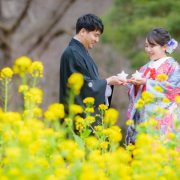 春の前撮り　和装ロケーション撮影（椿、河津桜、菜の花）の画像11