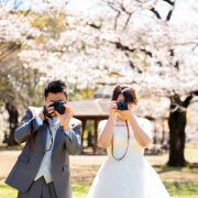 桜フォトウエディングの画像8