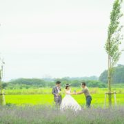 ラベンダー畑でお馬さんと一緒のフォトウエディング