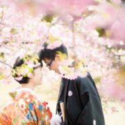 河津桜で和装ウエディングフォトの画像15