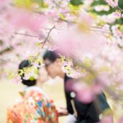 河津桜で和装ウエディングフォトの画像16