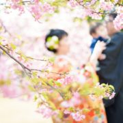 河津桜で和装ウエディングフォトの画像18