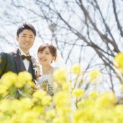 菜の花と桜のフォトウエディングの画像4