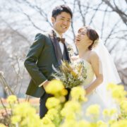 菜の花と桜のフォトウエディングの画像6