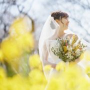 菜の花と桜のフォトウエディングの画像8