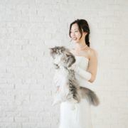 猫ちゃんと一緒にフォトウエディングの画像10