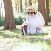 水元公園と代々木公園で洋装和装のフォトウエディングの画像11