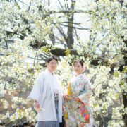 桜と一緒に和装フォトウエディング