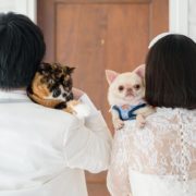 わんちゃん＆ねこちゃんとフォトウエディング
