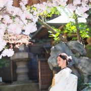 つきじ治作で和装前撮りの画像5