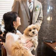 ワンちゃんと一緒にフォトウエディングの画像1