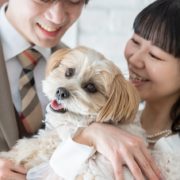 ワンちゃんと一緒にフォトウエディングの画像6