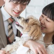 ワンちゃんと一緒にフォトウエディングの画像5