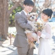 ワンちゃんと一緒にフォトウエディングの画像25