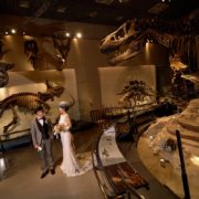 国立科学博物館でフォトウエディングの画像12