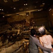 国立科学博物館でフォトウエディングの画像17