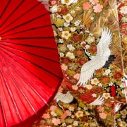 日曜日に撮れる！家族と一緒にフォトウエディングの画像8