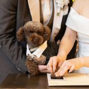 わんちゃんとご家族とみーんな一緒にチャペルフォトウエディングの画像7